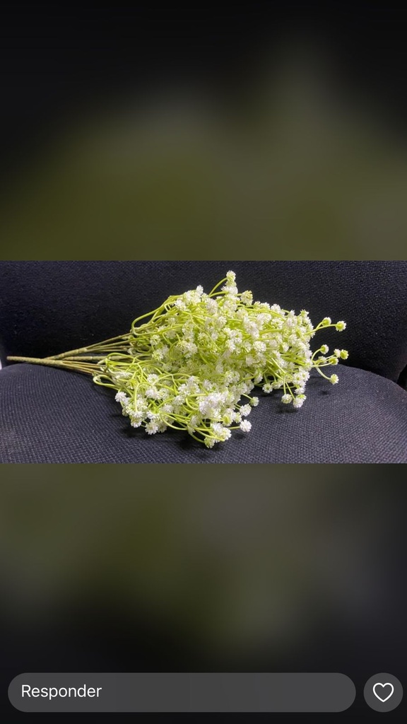 RAMA FLORES GREEN-PARK