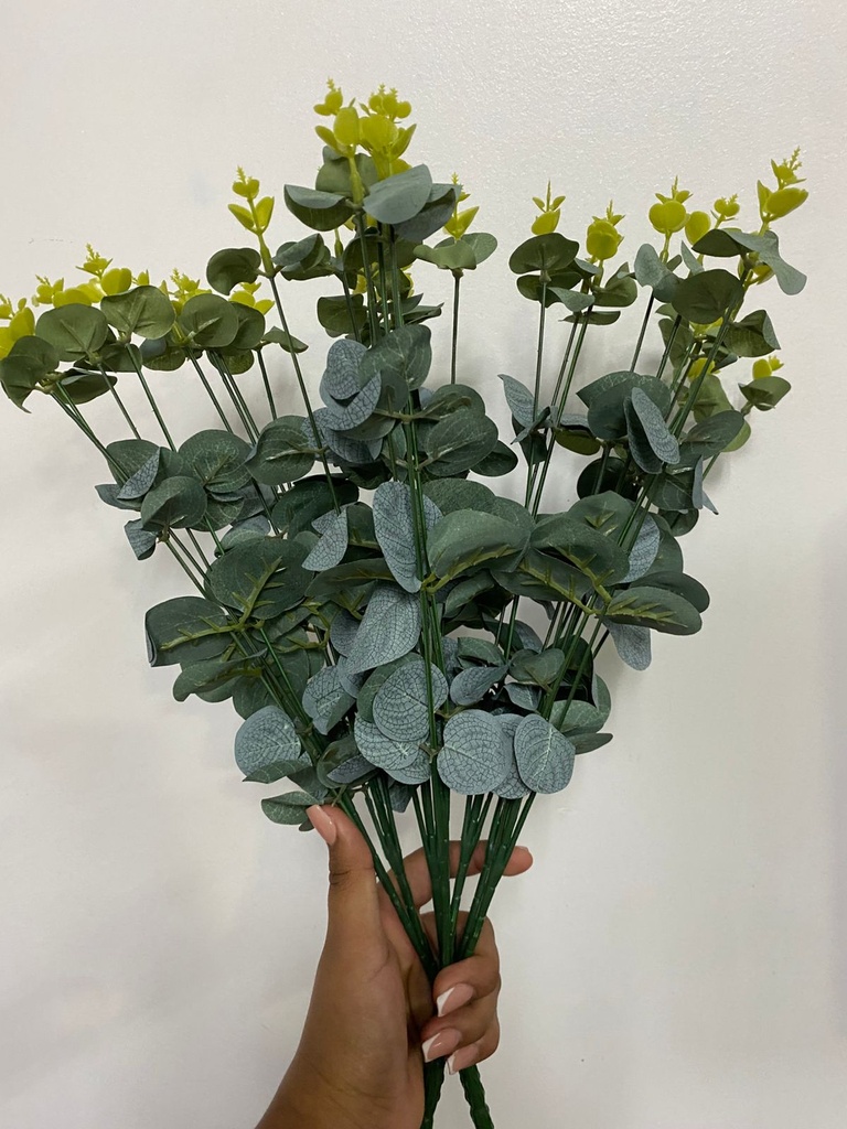 RAMO DE RELLENO EUCALIPTO VERDE CENIZO