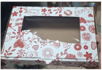 CAJA LUZ 1 ESPECIAL