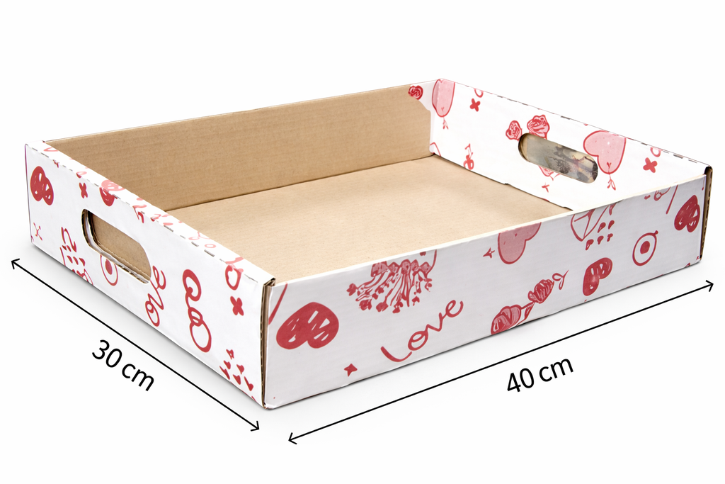 BANDEJA ESPECIAL 40X30CM