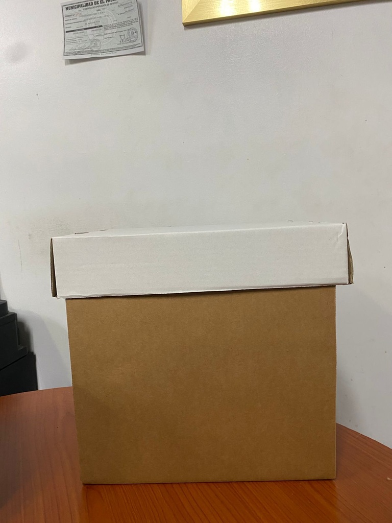 CAJA SOL 31 X 31 X 31 CENTIMETROS