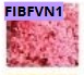 [FIBFVN1] FLORES “ VELO DE NOVIA” 450g