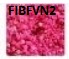 [FIBFVN2] FLORES “ VELO DE NOVIA” 450g