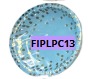 [FIPLPC13] Platos para Cumpleaños 10 piezas 7"