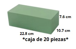 [HN] OASIS Caja de 20 piezas 22.8x10.7x7.6cm